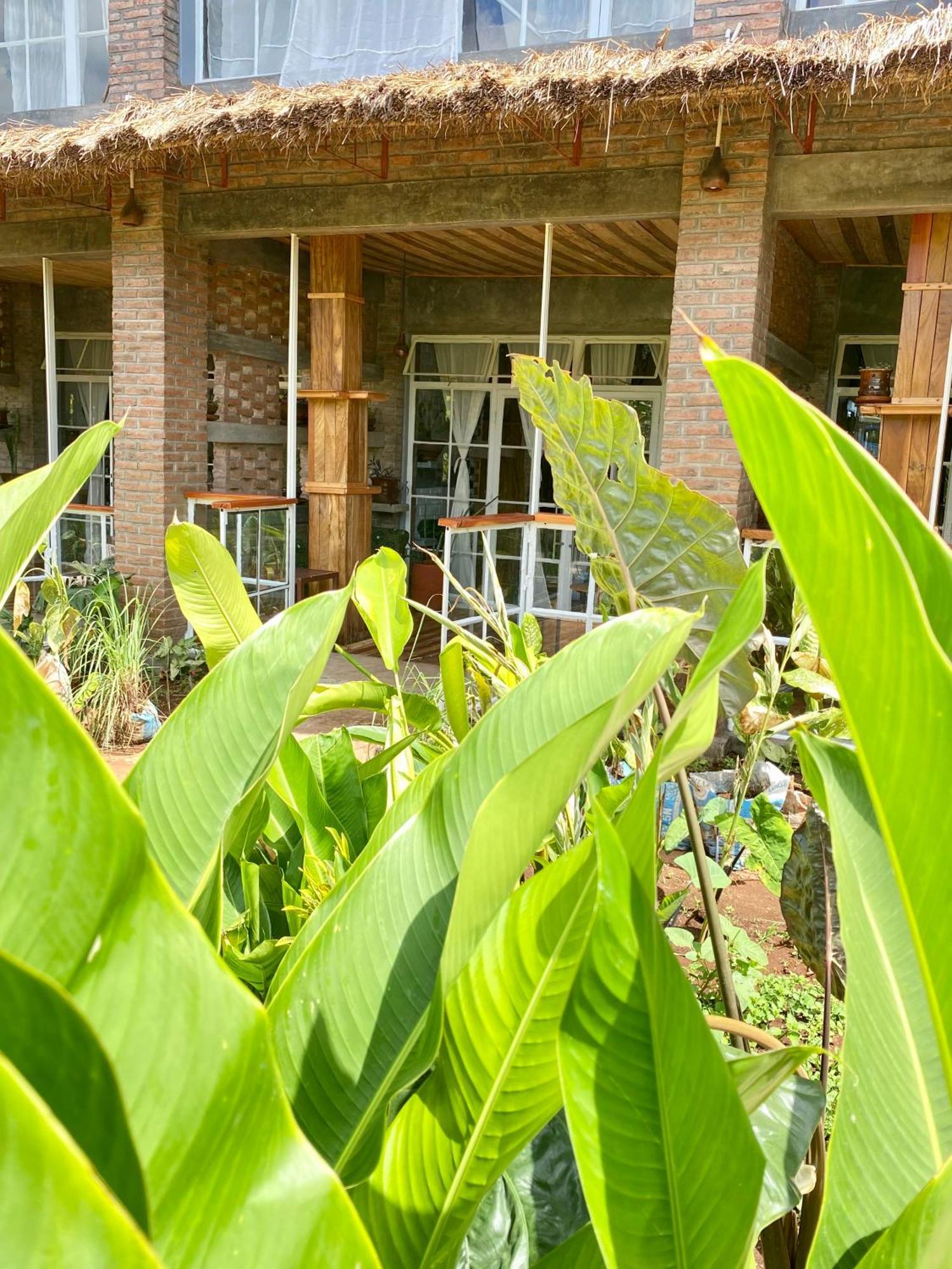 Mount Kilimanjaro 360 View Cottage Uru 외부 사진
