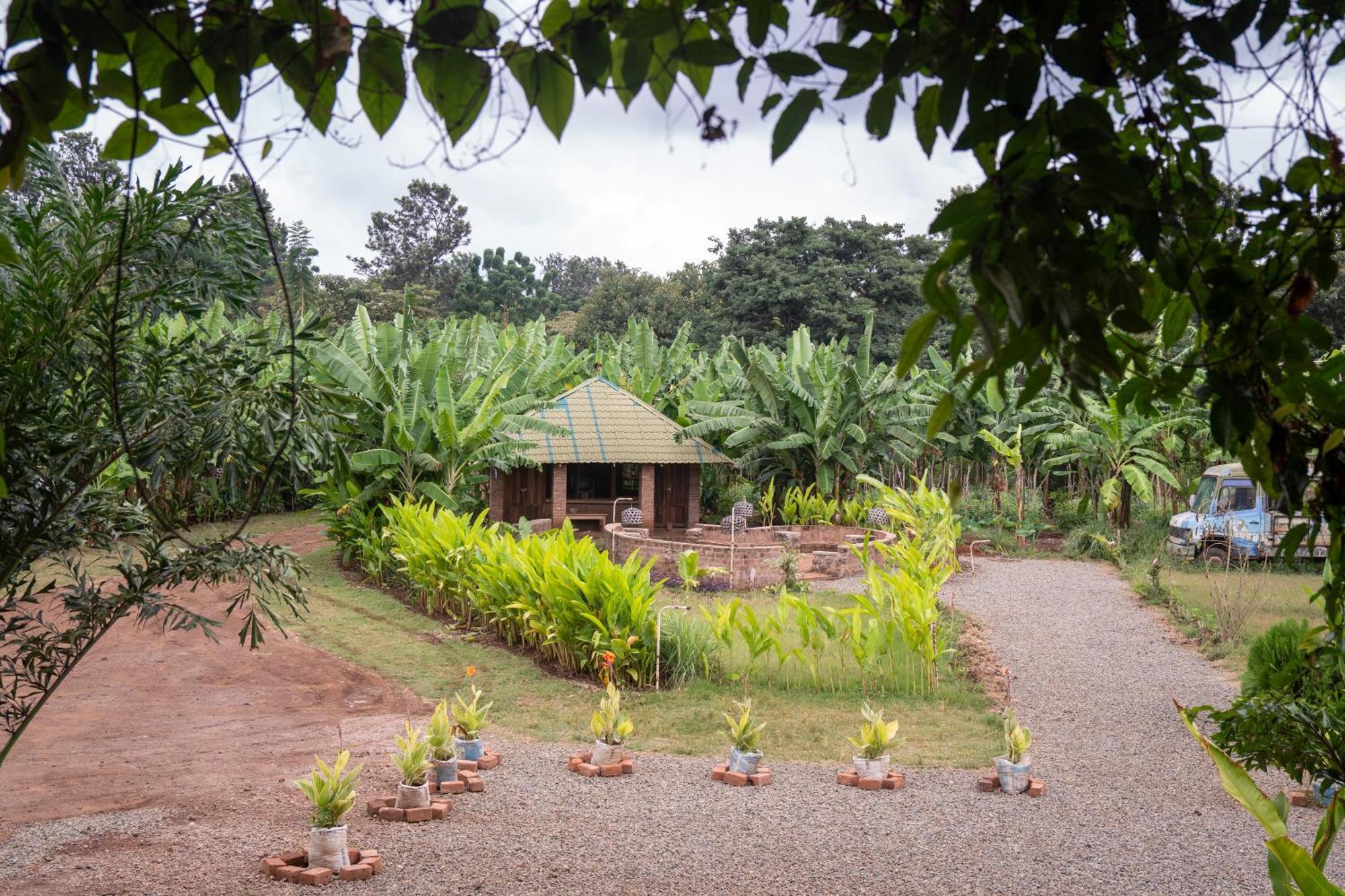 Mount Kilimanjaro 360 View Cottage Uru 외부 사진
