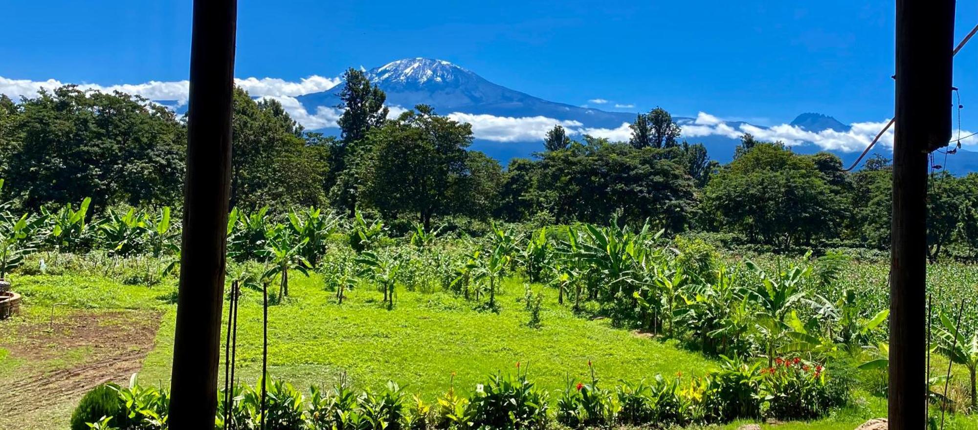 Mount Kilimanjaro 360 View Cottage Uru 외부 사진